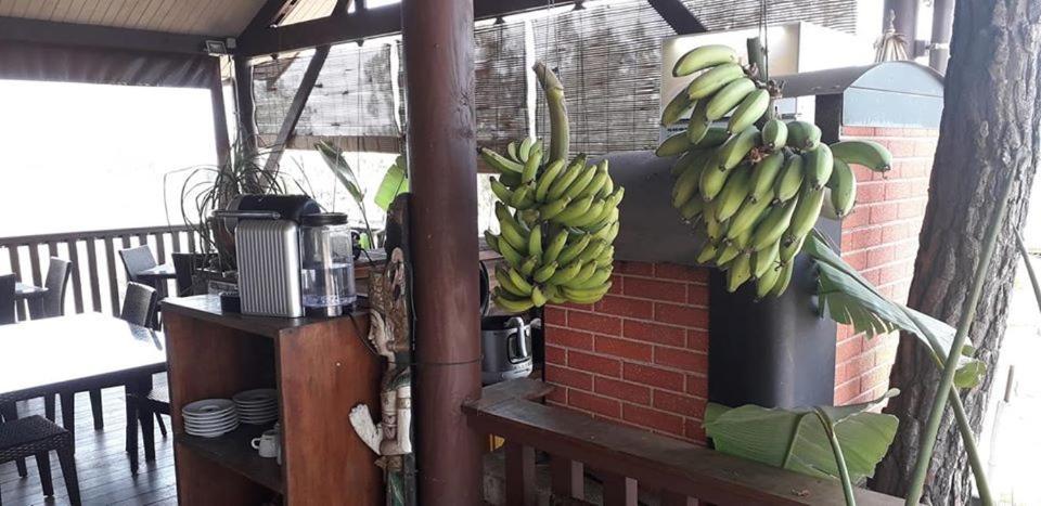 Le Gite Du Koniambo Voh ภายนอก รูปภาพ
